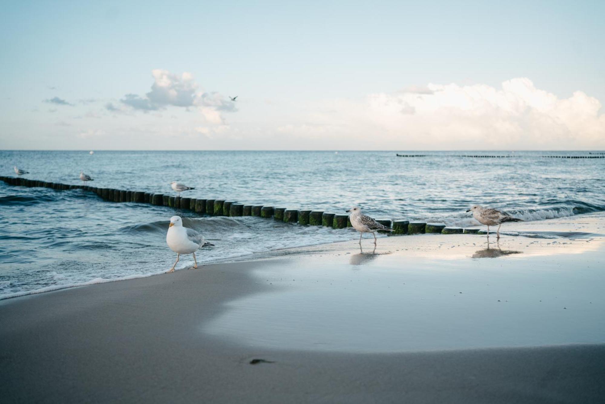 Kamphof Usedom Ferienanlage ロディン エクステリア 写真